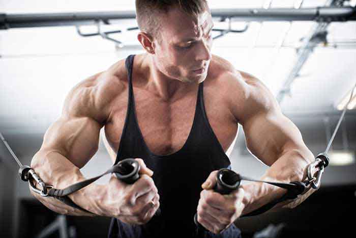 5 Key Factors to Consider When You Buy Dianabol Steroids in the USA