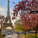 Start Your Day Right: The Ultimate Eiffel Morning Tour Itinerary