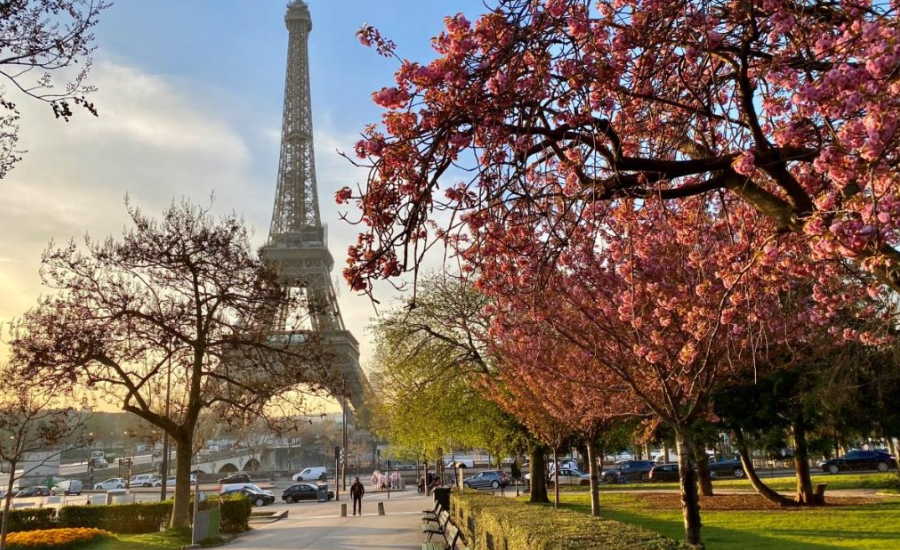 Start Your Day Right: The Ultimate Eiffel Morning Tour Itinerary